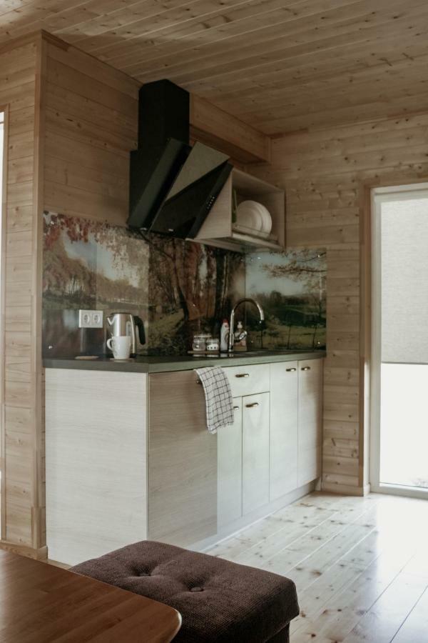 Bārta Atputas Baze Ods Lofts 빌라 외부 사진